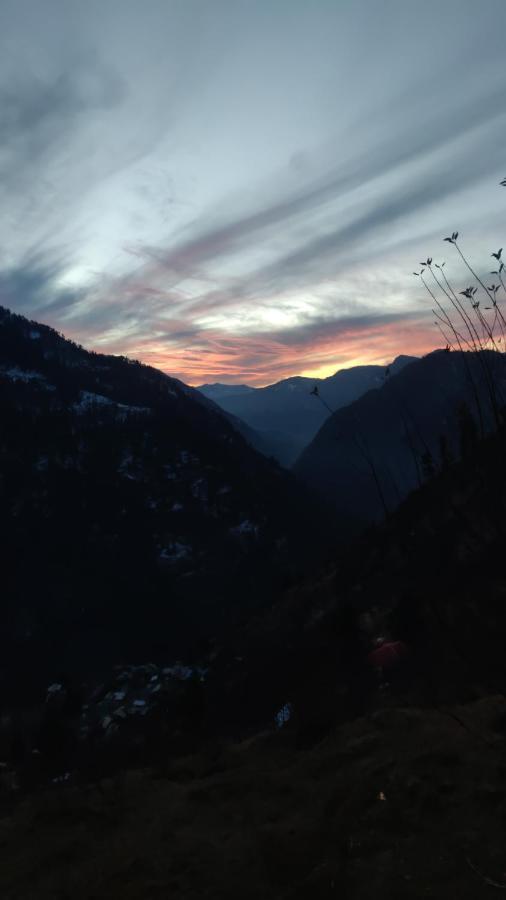 Parvatis Lap Luxury Hostel & Camps Kasol Εξωτερικό φωτογραφία