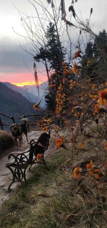 Parvatis Lap Luxury Hostel & Camps Kasol Εξωτερικό φωτογραφία