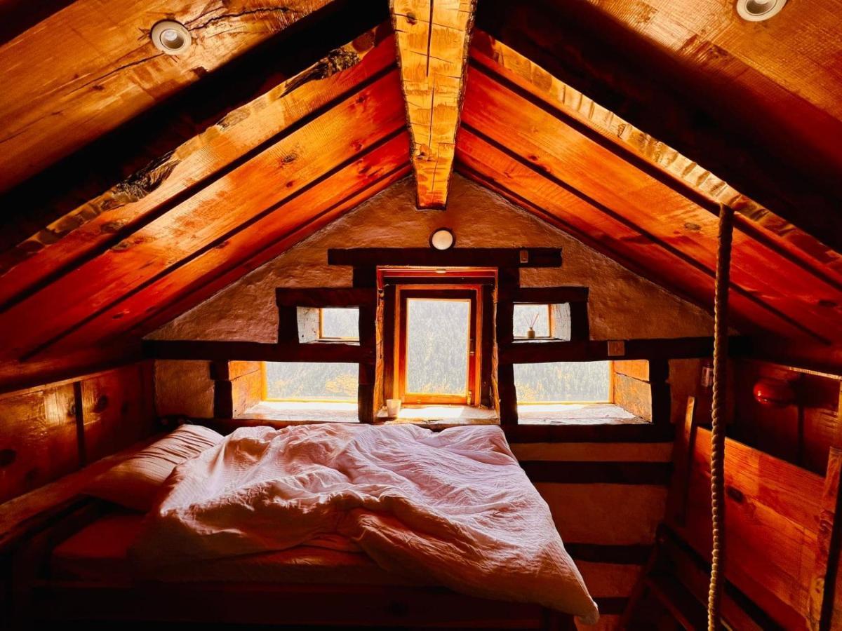 Parvatis Lap Luxury Hostel & Camps Kasol Εξωτερικό φωτογραφία